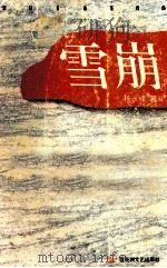 雪崩 1996 PDF电子版封面 7805797935 杨永峰著