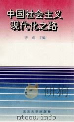 中国社会主义现代化之路（1994 PDF版）