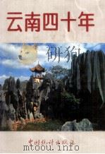 云南四十年 1989 PDF电子版封面 7503702478 云南省统计局编