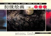 初级绘画 下 PDF电子版封面 9787110040348 华敬俊主编
