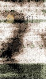 饮冰室文集 19 1926 PDF电子版封面 (清)梁启超