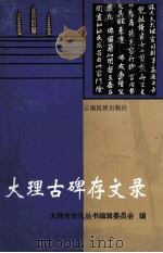 大理市古碑存文录（1996 PDF版）