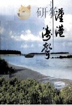 徐闻文史第19辑 PDF电子版封面 中国人民政治协商会议徐闻县委员会编