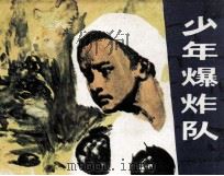 少年爆炸队   1984  PDF电子版封面    鲁江编 