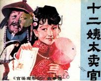 十二姨太卖官 1988 PDF电子版封面 7536201591 马鼎盛编