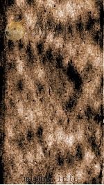 续资治通鉴 卷102-104 1867 PDF电子版封面 (宋)司马光