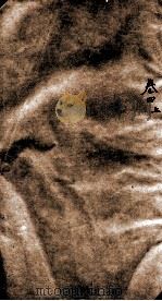 历代名贤齿谱  卷4上     PDF电子版封面    （清）易宗涒辑 