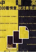 300种情意 状况表现法 中翻英 1992 PDF电子版封面 9577100104 钱冠连编