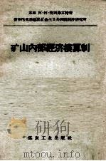 矿山内部经济核算制  油母面岩采掘工业的经验   1957  PDF电子版封面  403528  （苏）特列菲立特著；冯鉴平译 