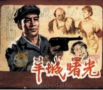 羊城曙光 1982 PDF电子版封面 807090 杜友农,丁山改编;杜友农摄影