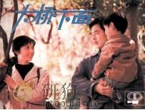 大桥下面 1984 PDF电子版封面 808113925 张建亚选编;白沉导演;邱以仁,计鸿生,江淑珍,黄仁忠摄影
