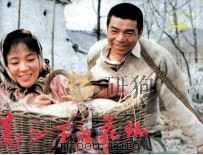 高山下的花环（1985 PDF版）