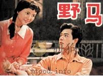 野马（1984 PDF版）
