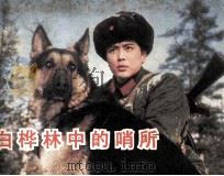 电影连环画册 白桦林中的哨所 1983 PDF电子版封面 80612060 泓鸿改编