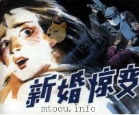 新婚惊变（1988 PDF版）