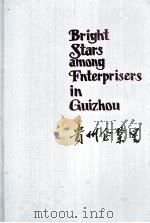 贵州企业星   1992  PDF电子版封面    文志强，李起超著 