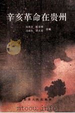 辛亥革命在贵州 1992 PDF电子版封面 7221028001 肖先治等主编
