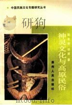 神灵文化与高原民俗   1991  PDF电子版封面  7221025924  彭兆荣，田原著 
