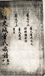大理史城董氏族谱  卷10、11（ PDF版）
