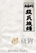 云龙石门段氏族谱（ PDF版）