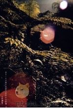 黔人杂志 第12卷第3期 总号第47期 1995 PDF电子版封面 李永久主编