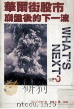 华尔街股市崩盘后的下一波 1990 PDF电子版封面 安纪芳著