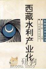 西藏水利产业化   1995  PDF电子版封面  7800572730  白涛主编；西藏自治区水利局，西藏自治区经济发展研究中心编 