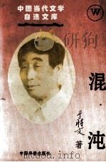混沌 1996 PDF电子版封面 7800749940 于时文著