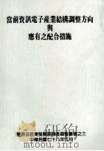 当前的资讯电子产业结构调整方向与应有之配合措施 1989 PDF电子版封面