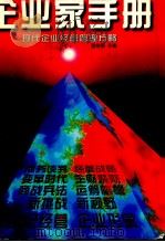 企业家手册  现代企业经营管理方略   1997  PDF电子版封面  7800017028  罗锐韧主编 