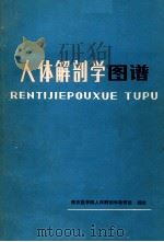 人体解剖学图谱 1979 PDF电子版封面 14048·2419 南京医学院人体解剖学教研组编绘