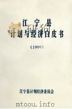 江宁县计划与经济白皮书 1999 PDF电子版封面 江宁县计划经济委员会编;周久耕主编