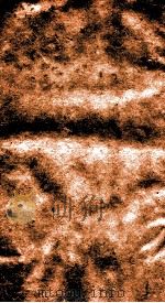 二十四史  史记  卷121-127（ PDF版）