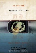 胸部CT图谱   1995  PDF电子版封面  7810345354  杜湘珂，罗德馨主编；朱绍同等编著者 