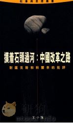 摸着石头过河 中国改革之路 对萨克斯和科尔奈的批评 1996 PDF电子版封面 王小强著