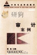 审计案例（1999 PDF版）