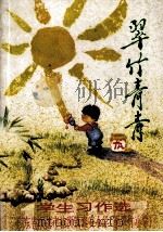翠竹青青 学生习作选 广东省顺德市桂洲镇泰安小学 原翠竹小学 PDF电子版封面 泰安小学语文科教研室编