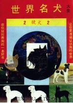 世界名犬大全 1993 PDF电子版封面 7203024660 慧铭著