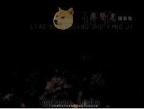 廖贤光摄影集 PDF电子版封面 廖贤光著