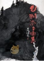 毛润添书画集 PDF电子版封面