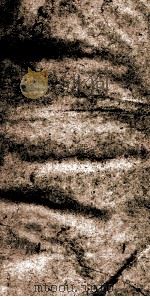 佩文韵府  第4函  卷20上-20下（ PDF版）