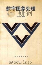 数字图象处理   1993  PDF电子版封面  7543414848  孙即祥编著 