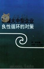 新疆大中型企业良性循环的对策 1995 PDF电子版封面 7228036883 许准主编