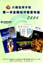 八师石河子市第一次全国经济普查年鉴  2004     PDF电子版封面    八师石河子市第一次全国经济普查领导小组办公室编 