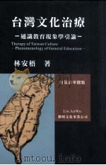 台湾文化治疗 通识教育现象学引论 1999 PDF电子版封面 9571605484 林安梧著