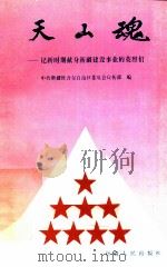 天山魂 记新时期献身新疆建设事业的英烈 1995 PDF电子版封面 7228034333 中共新疆维吾尔自治区委员会宣传部编