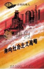奔向社会主义高峰 卓绝的伟人 1989 PDF电子版封面