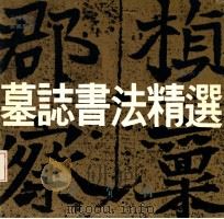 墓志书法精选  第6册  元桢墓志、奚真墓志   1992  PDF电子版封面  7500301162  荣宝斋编辑部编 