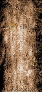 佩文韵府 序 卷25 PDF电子版封面 (清)张玉书等奉敕撰