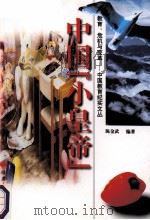 中国“小黄帝” 1998 PDF电子版封面 7211025220 陈金武编著